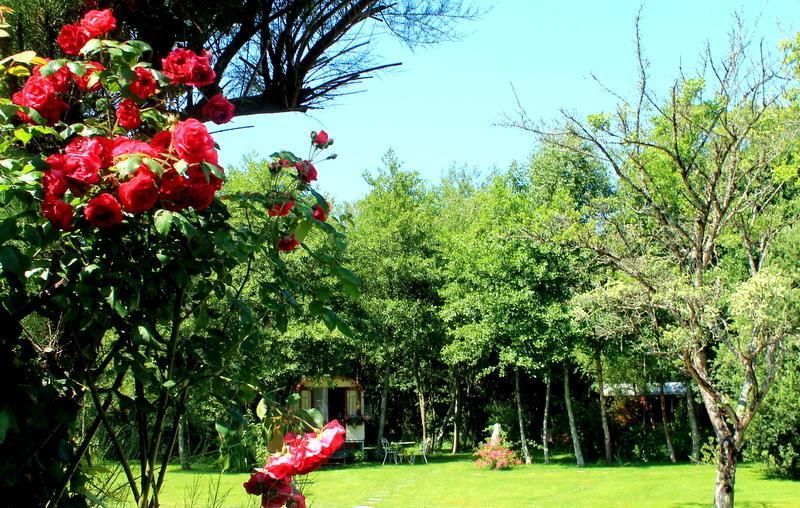 Bed and Breakfast Roulottes Du Rouard Кам'є Номер фото